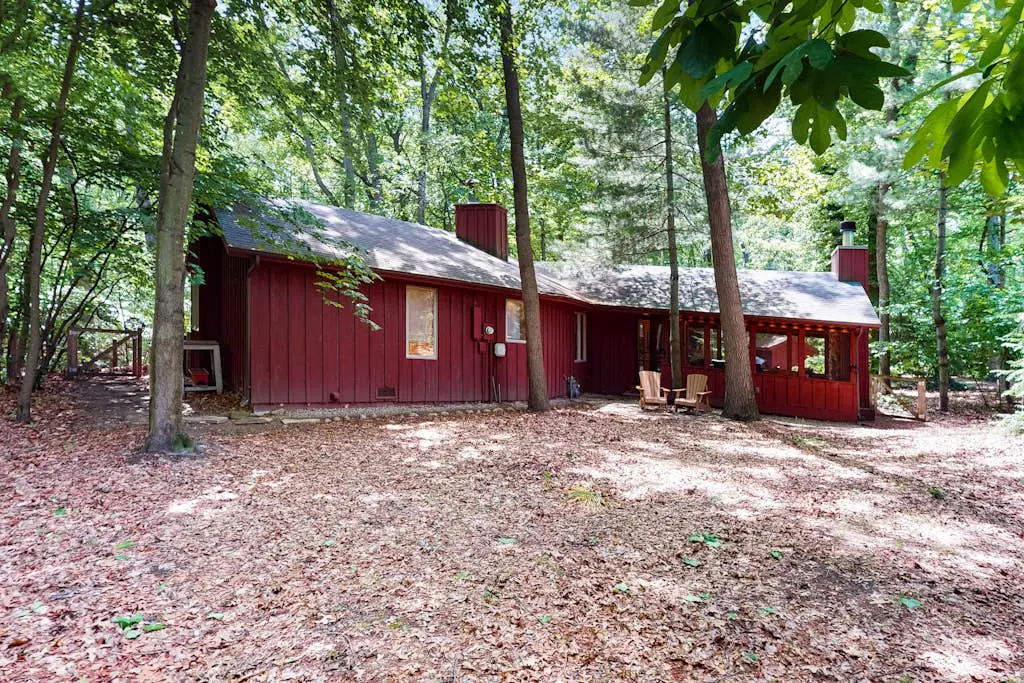The Tree House