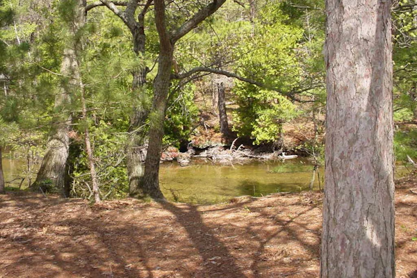 River-view condo with fireplace, deck, washer/dryer, and community firepit