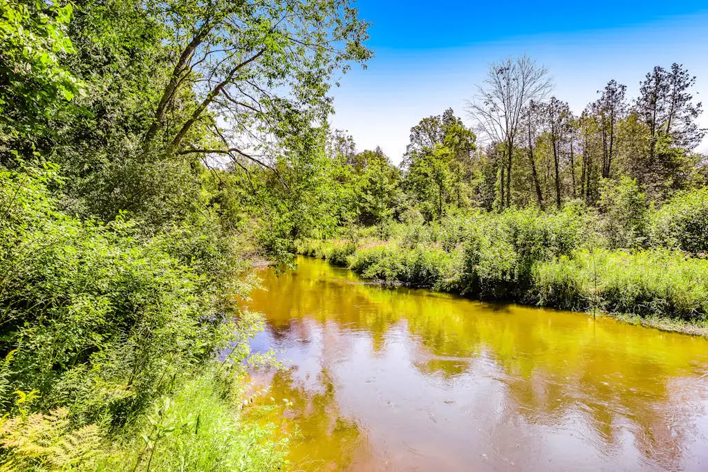 River's Bend