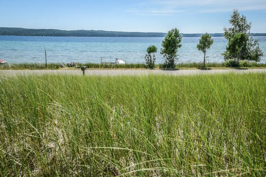 Dune Grass Shores