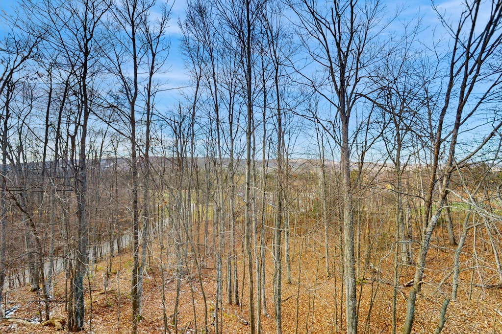 Beautiful 2B/2B Harbor Springs Condo Just 6 Mi to Lake Michigan!