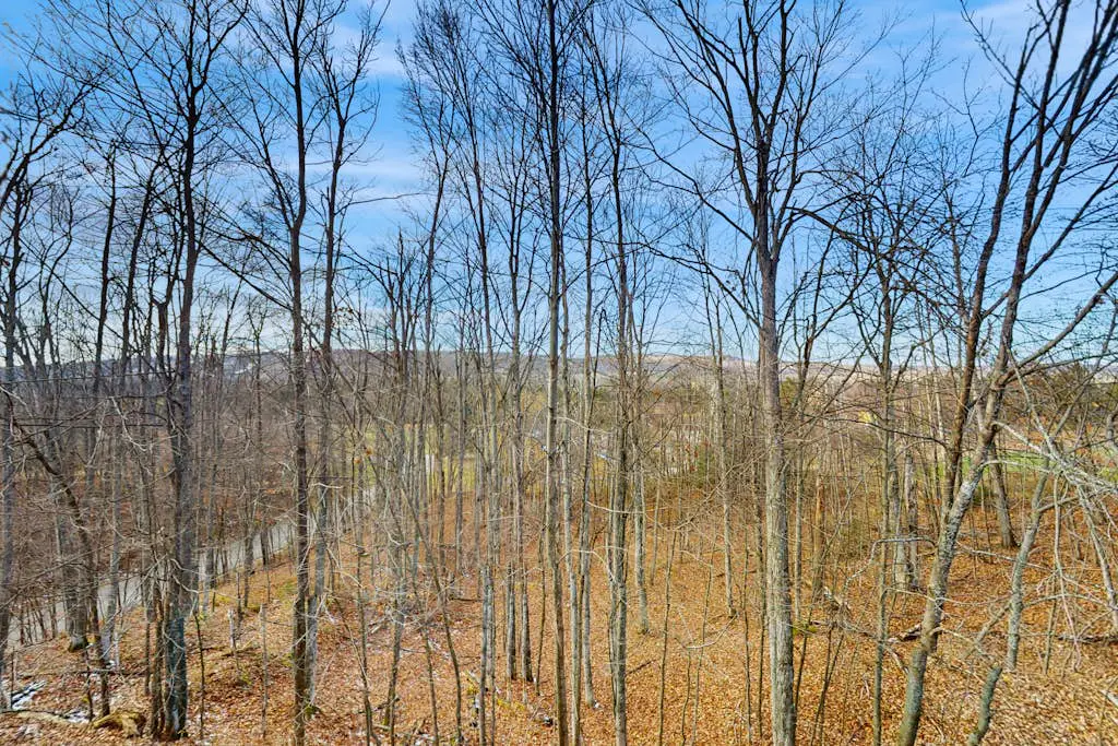 Trout Creek Retreat