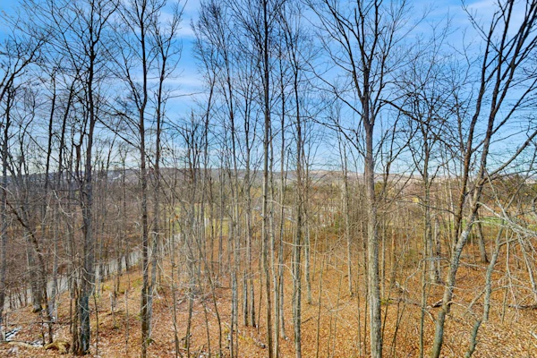 Beautiful 2B/2B Harbor Springs Condo Just 6 Mi to Lake Michigan!