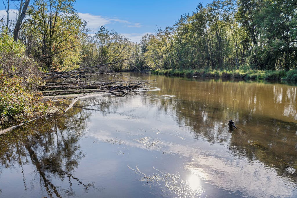 Riverfront cabin on the Betsie with private dock, kayaks & bikes - 2 dogs OK