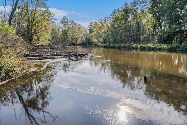 Riverfront cabin on the Betsie with private dock, kayaks & bikes - 2 dogs OK