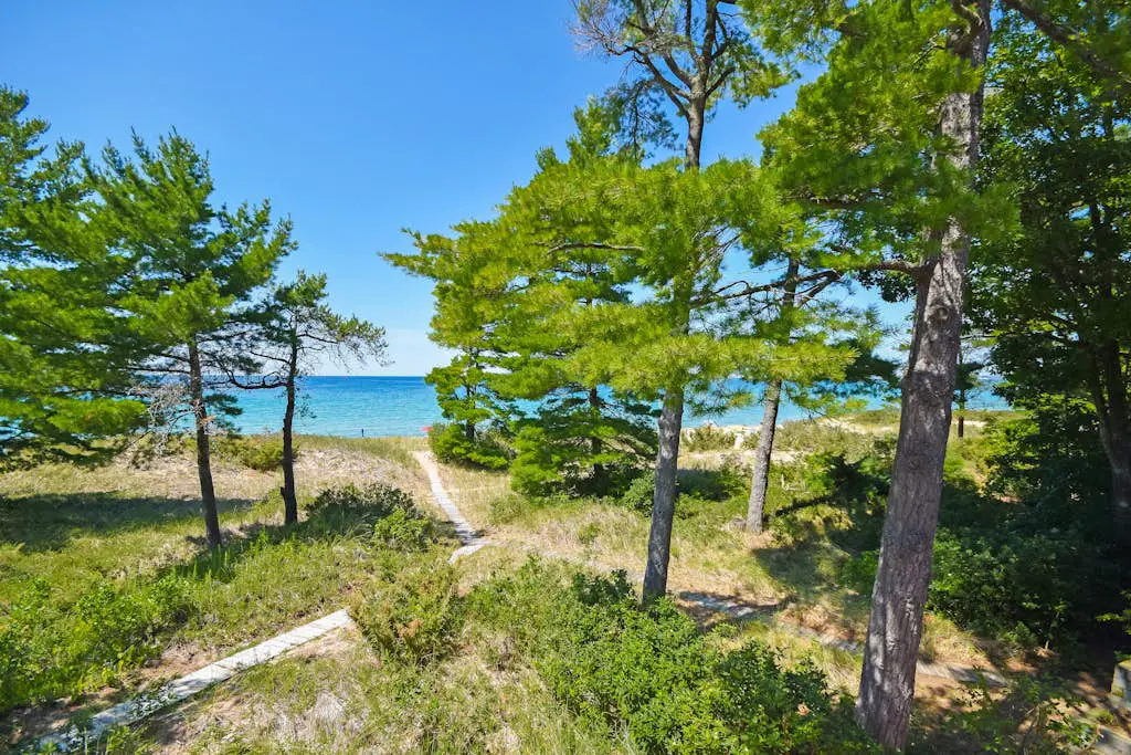 Beach Comber 5 6