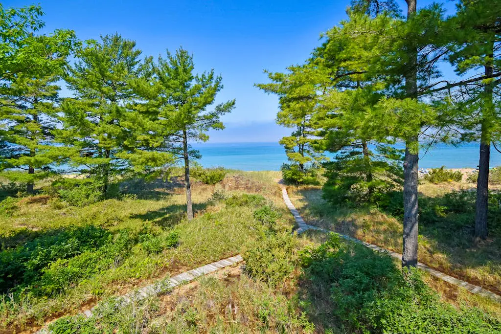 Beach Comber 5 6