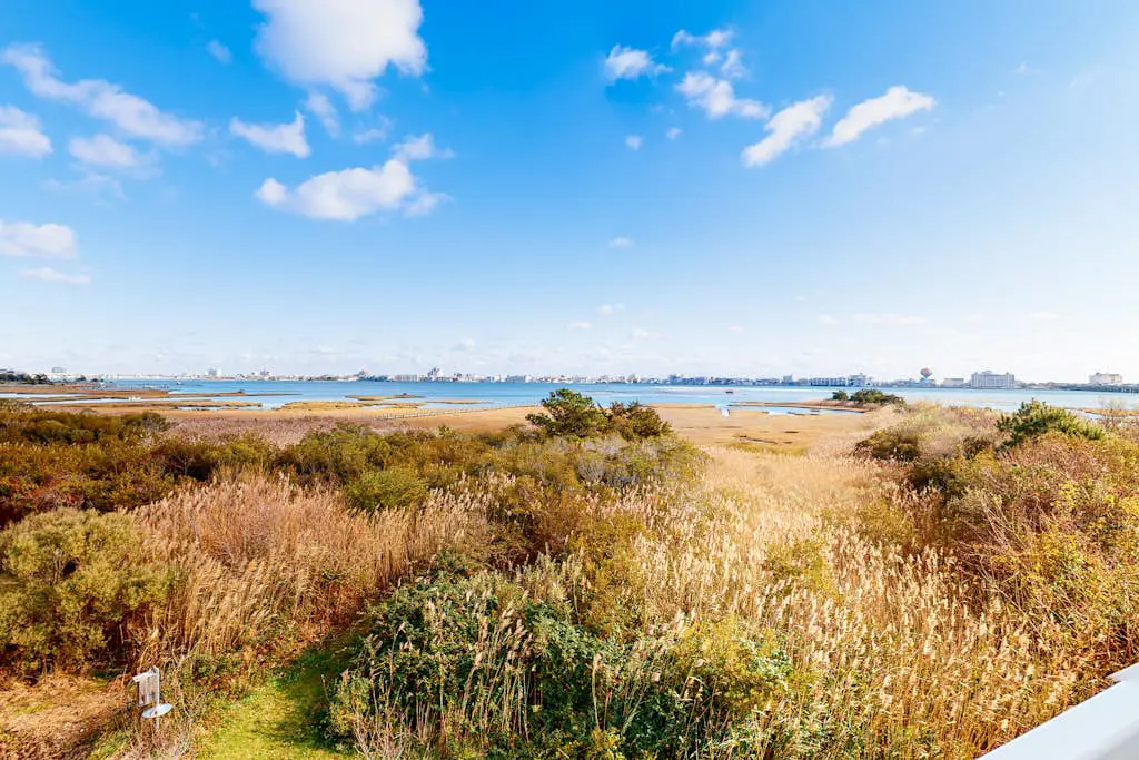 Seaside Village- Bowline 13009-1