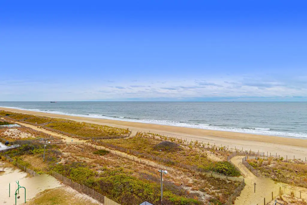 Sea Watch 206