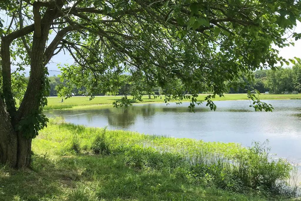 Teal Haven