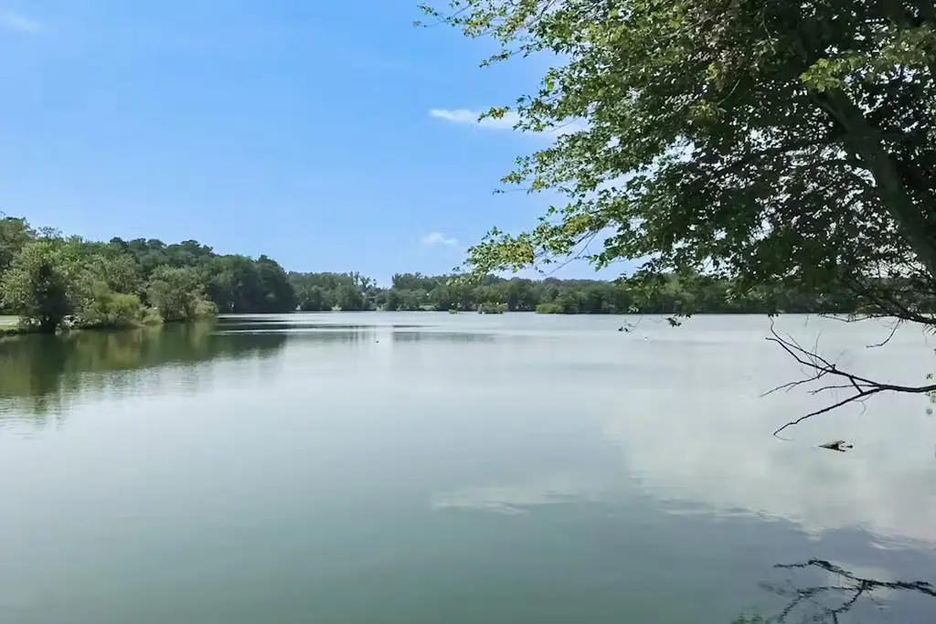Teal Haven