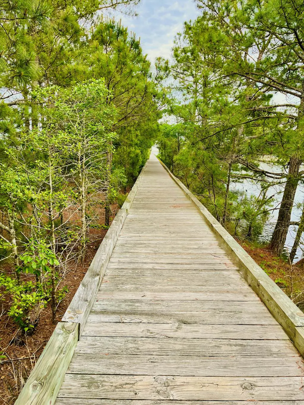 Heron Bay Hideaway at Bayside