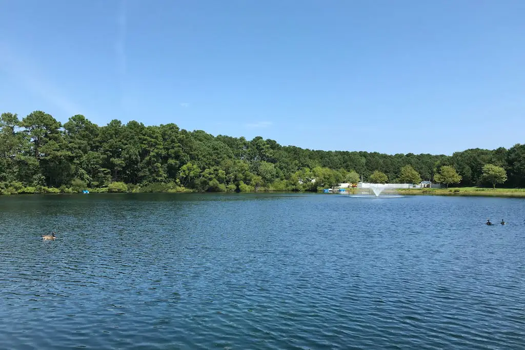Assateague Pointe - Helmsman