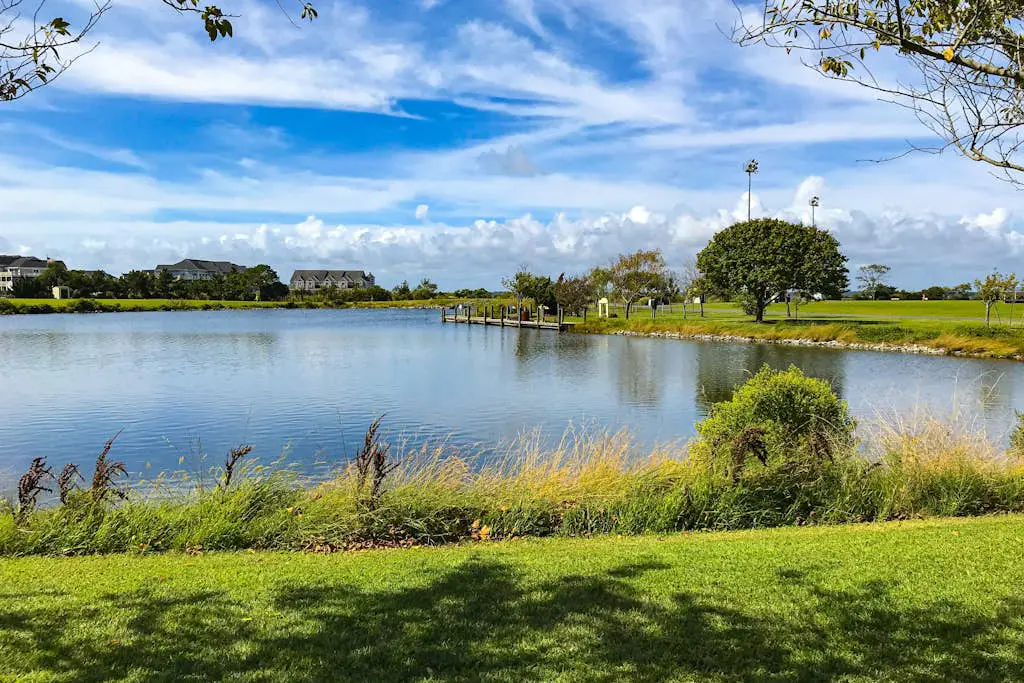 Dolphin Bay