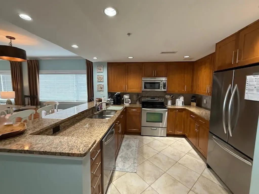 The Meridian 305E