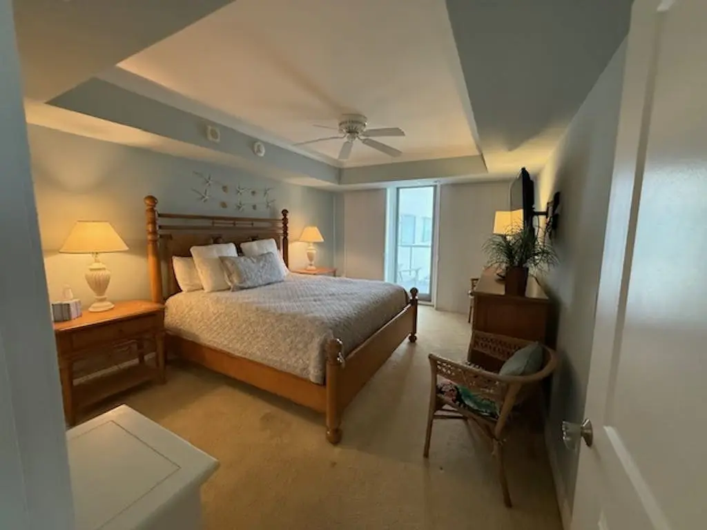 The Meridian 305E