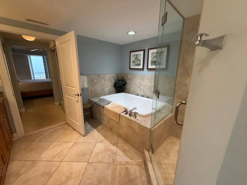 The Meridian 305E
