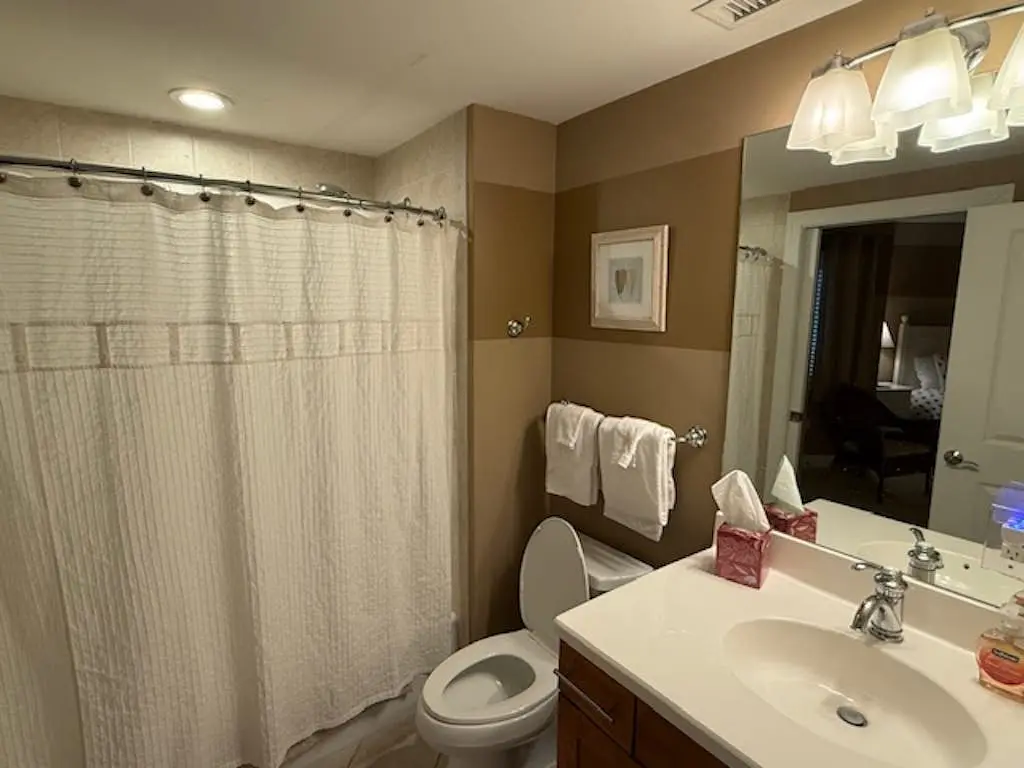 The Meridian 305E