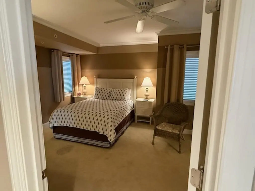 The Meridian 305E