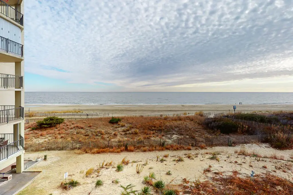 West Winds 306