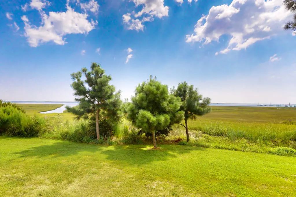 Assateague Pointe - Bay View Beauty