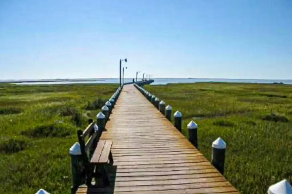 Assateague Pointe - Longboat
