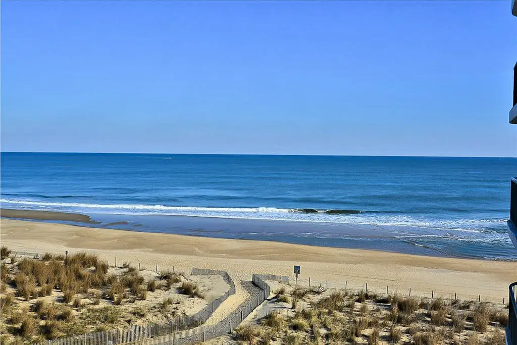 Summer Beach 504