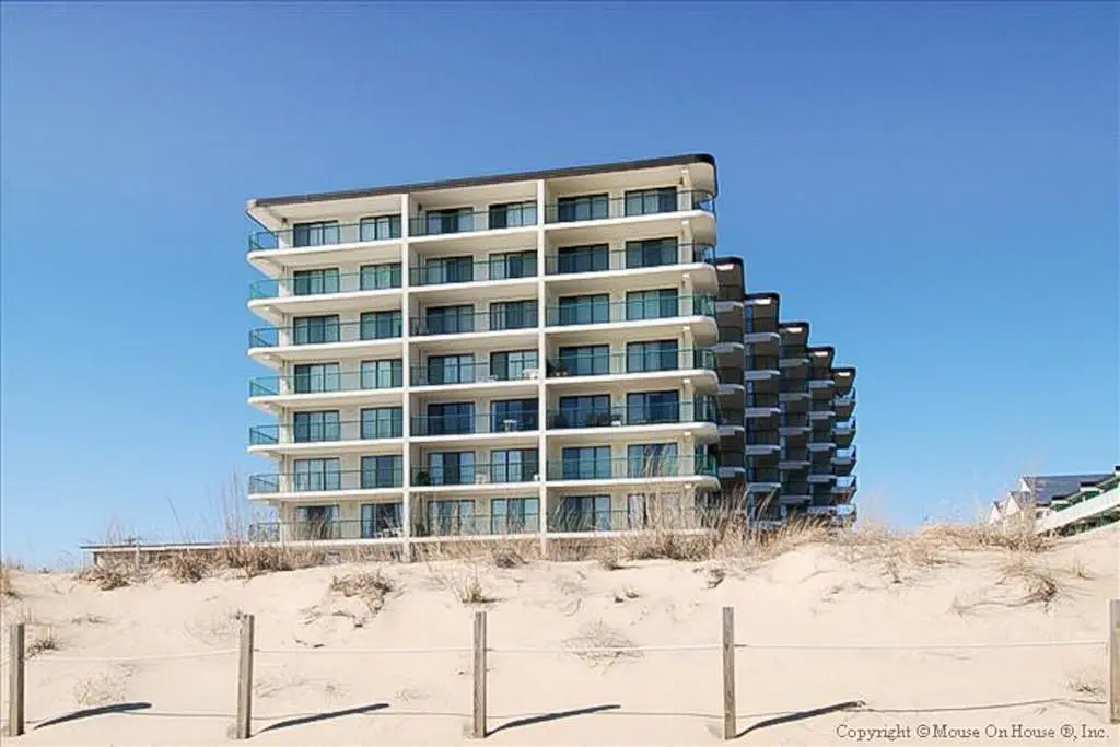 Summer Beach 504