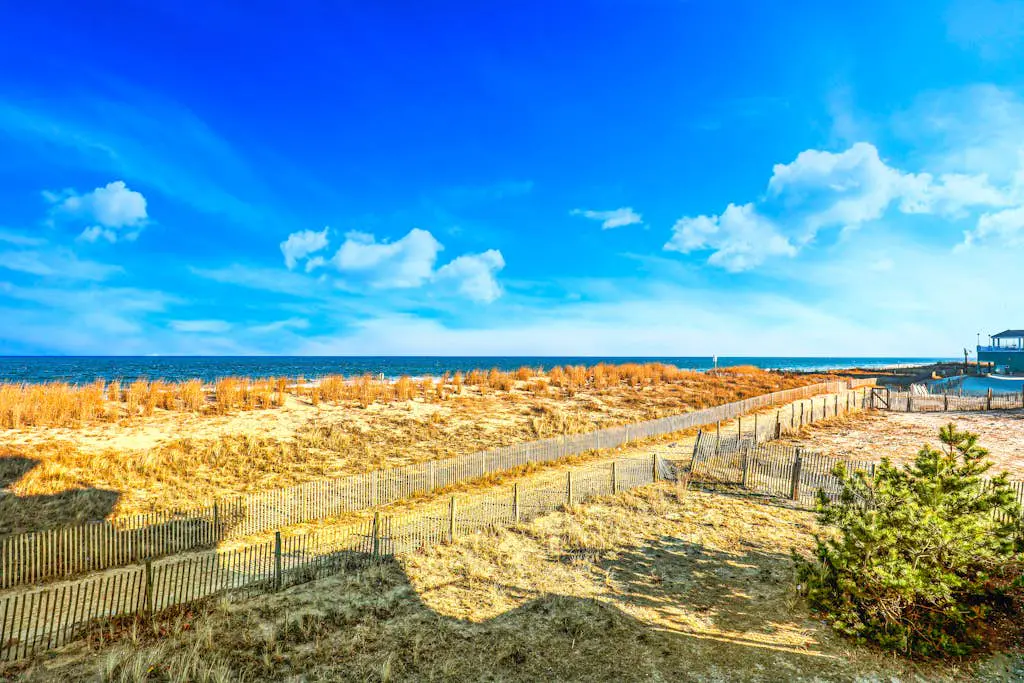 Summer Beach 705