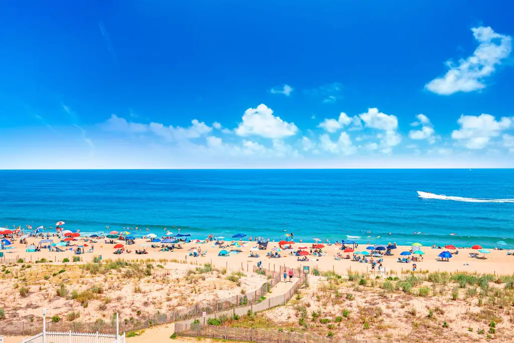 Summer Beach 705