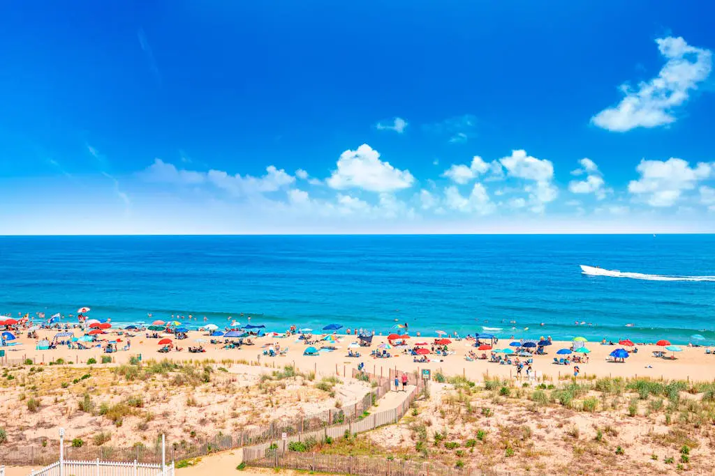 Summer Beach 508