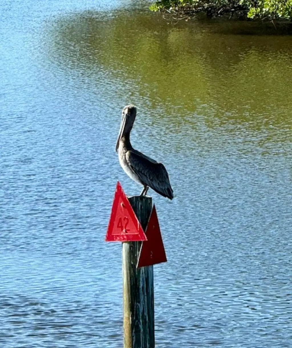 Sanctuary Point