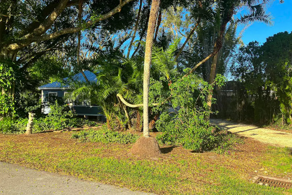 Banyan House