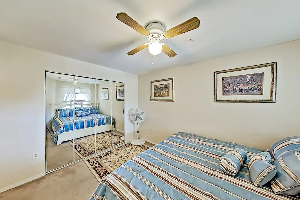 Four Mile Cove Enlightenment