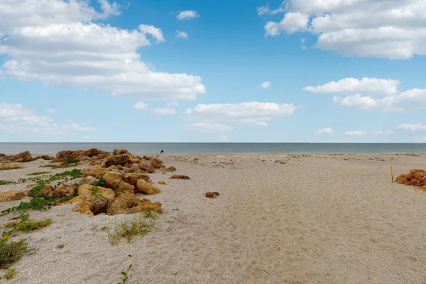 Single-story home with private yard, AC, & W/D - walk to beach, & dog-friendly