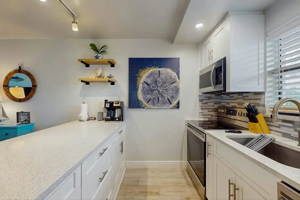 Sand Dollar