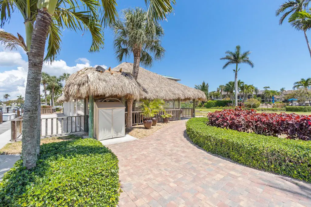 South Seas Bay Dreams