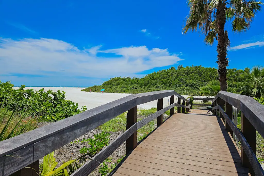 South Seas Bay Dreams