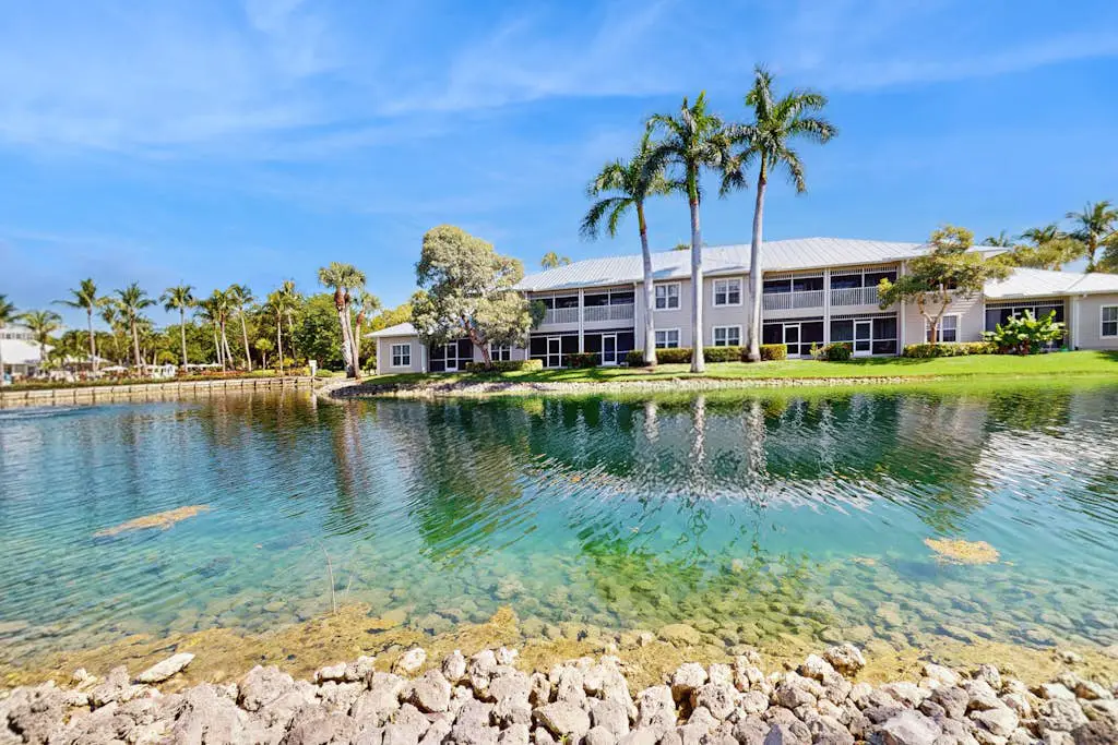 Royal Palm