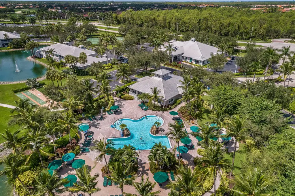 Royal Palm