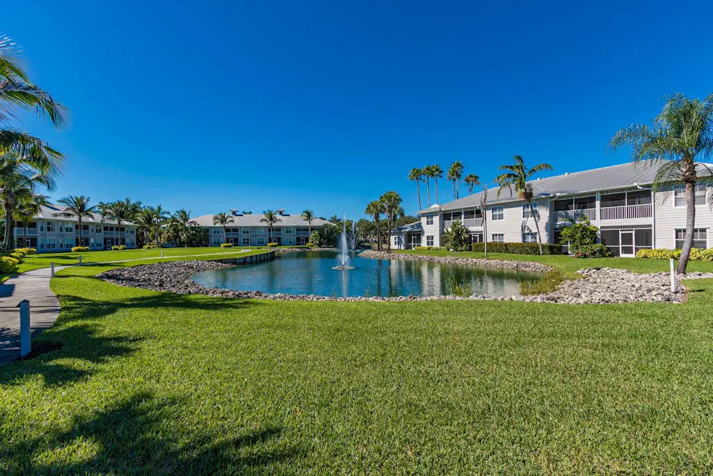 Royal Palm