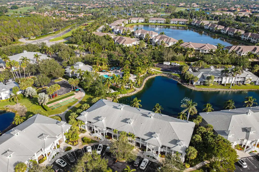 Royal Palm