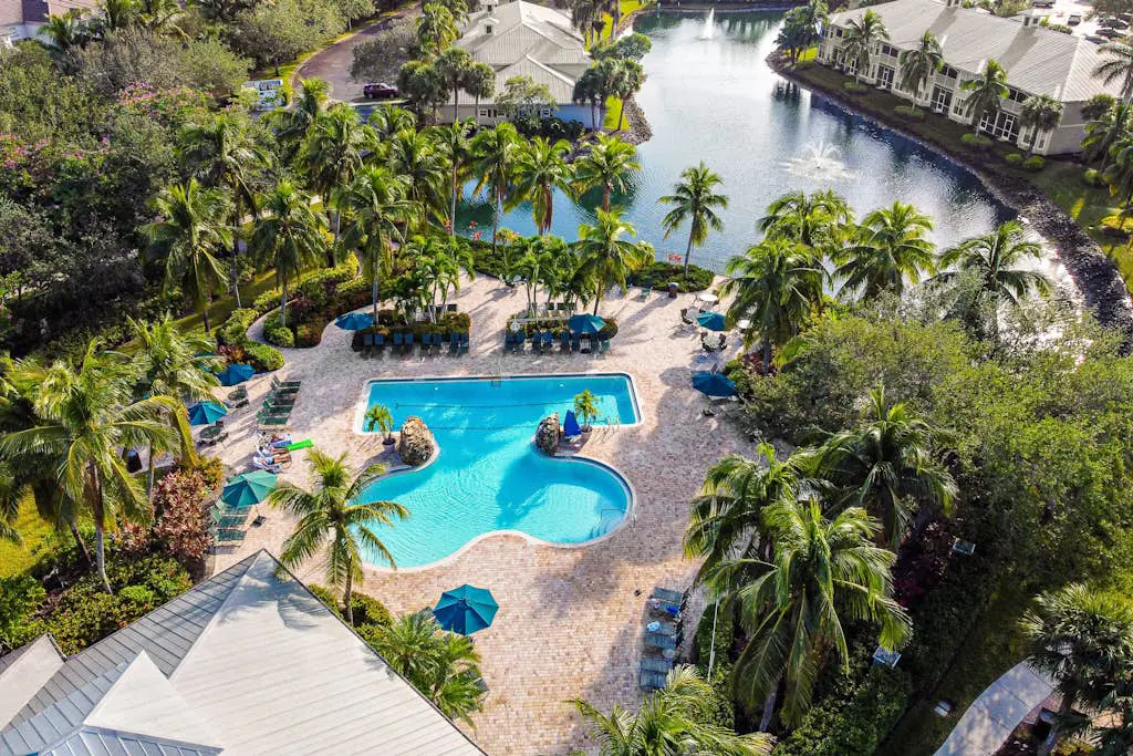 Royal Palm