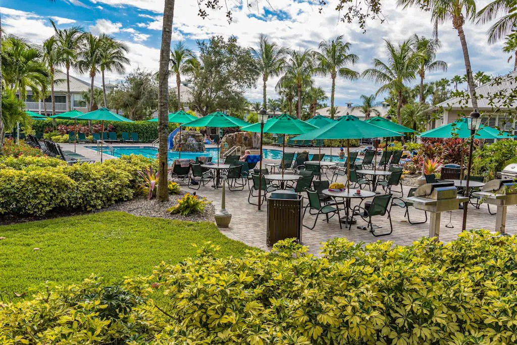 Royal Palm
