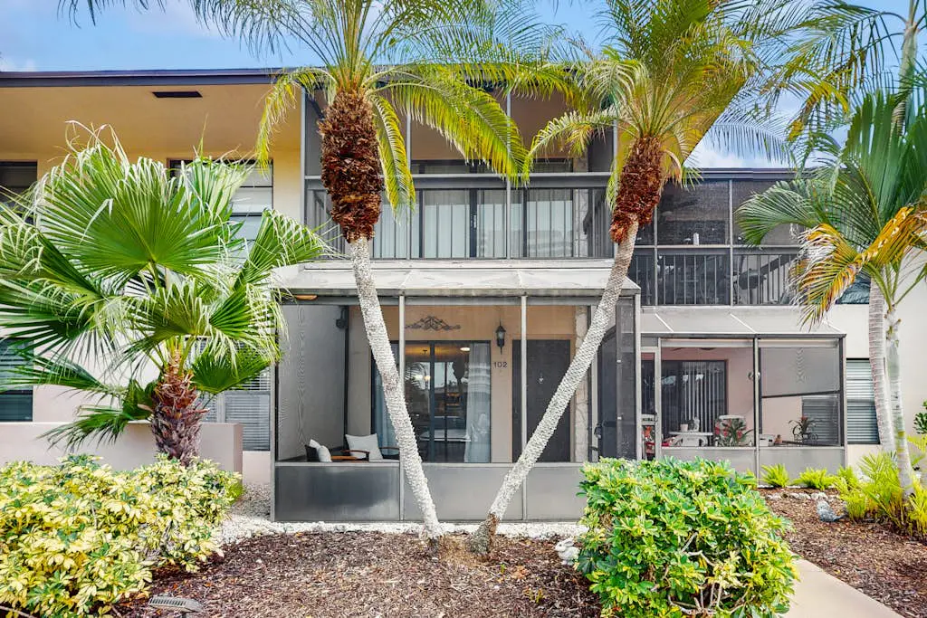 The Palm Collection
