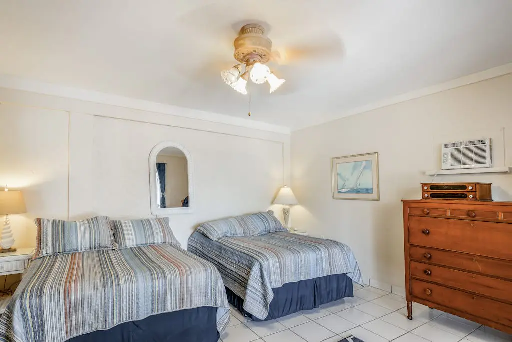 Madagascar Palm