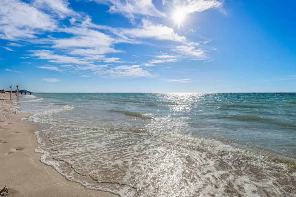 Sunny Sea Breeze