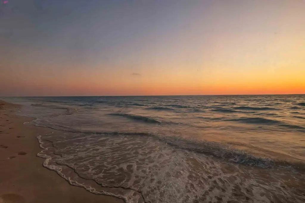Sunny Sea Breeze