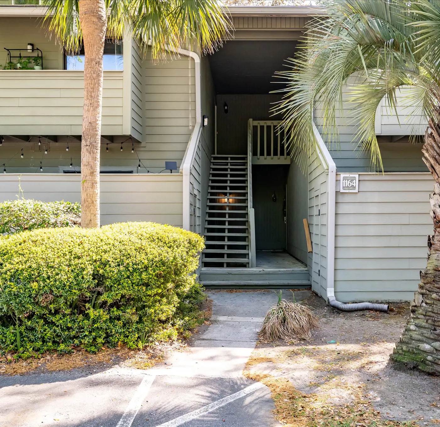 Modern, Dog-Friendly Marsh Retreat