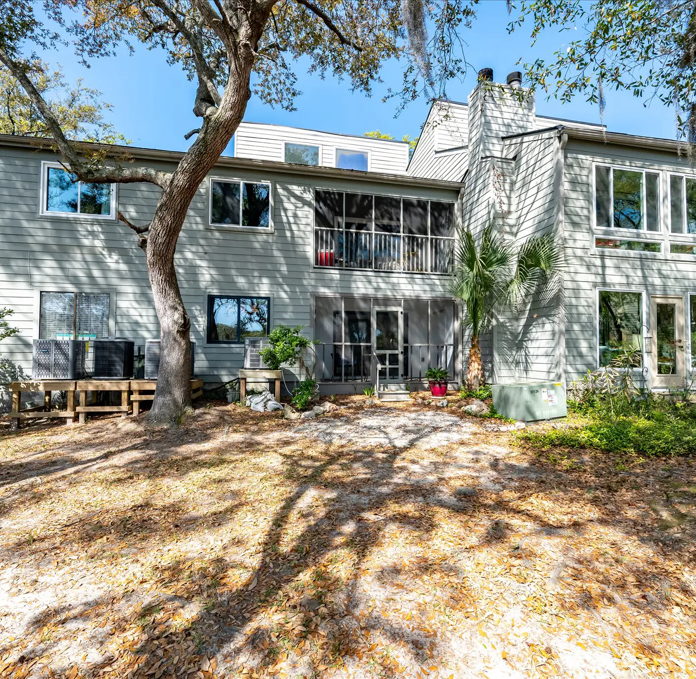 Modern, Dog-Friendly Marsh Retreat